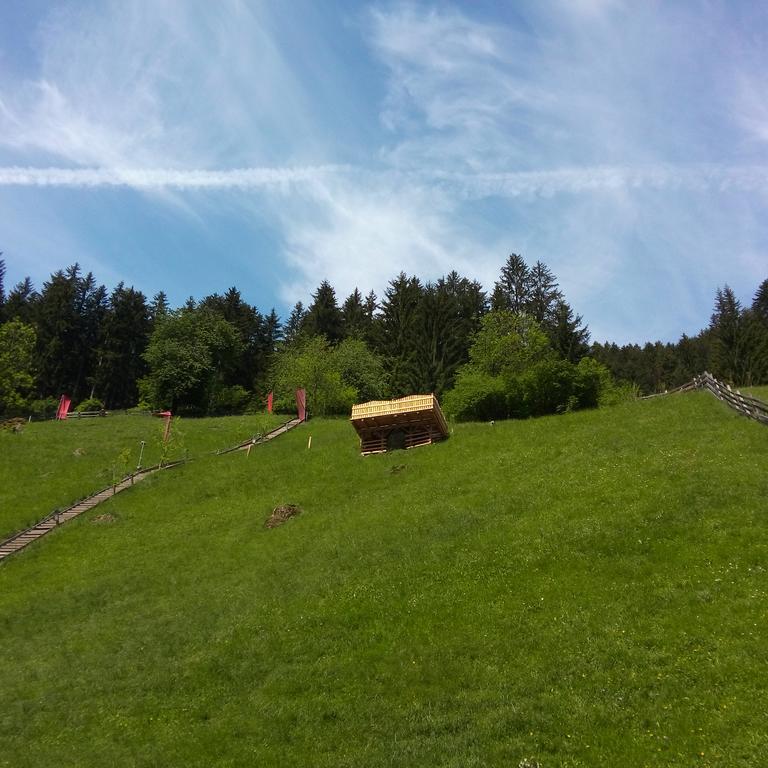 Pension Holzknechthof Am See Neustift im Stubaital Exterior foto